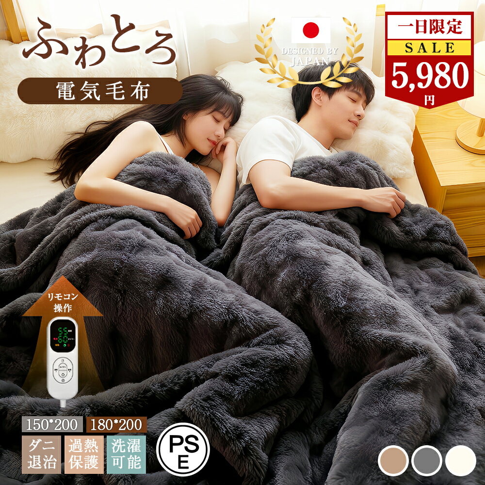 【大判：180cm×200cm】電気毛布 ふわとろ毛布 ダブ