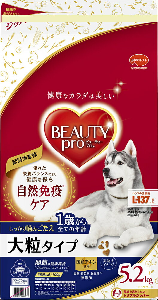 Rakuten - 日本ペットフード ビューティープロドッグ大粒タイプ1歳から5.2kg ドッグフード 成犬 大型犬 総合栄養食 国産鶏 乳酸菌 オリゴ糖 グルコサミン コンドロイチン リコピン コラーゲン 国産[trmt]