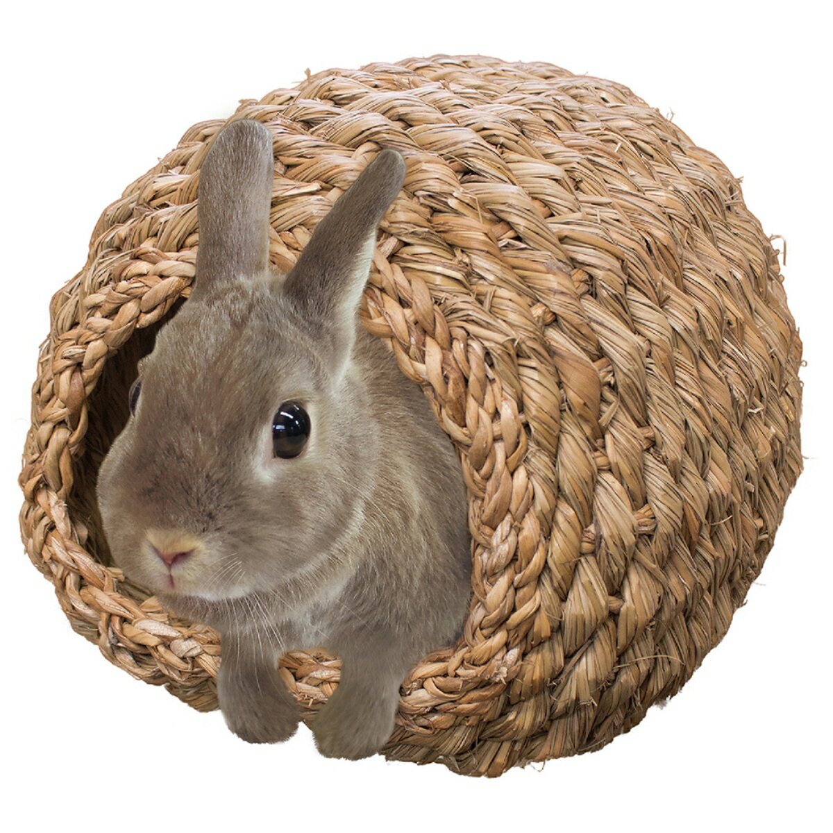 �ߥ˥��˥ޥ���ԤߤΥʥ���ϥ����ɡ��� [trmt]