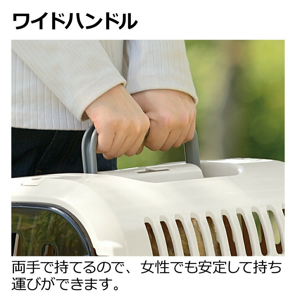 �����ԥ󥰥���꡼�ե�����S�����ܥ꡼ [trmt]