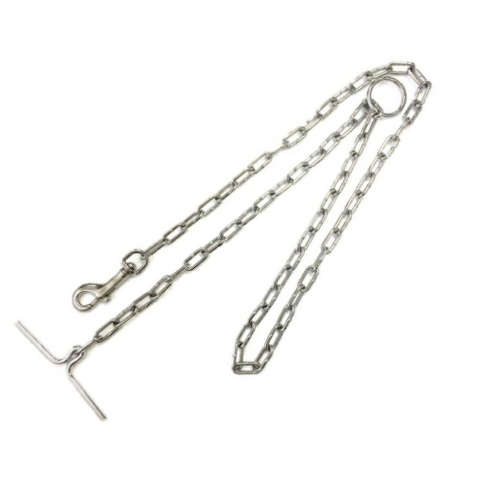 �ޥ��������饤�վ�Ƚ��#5.0 [trmt]