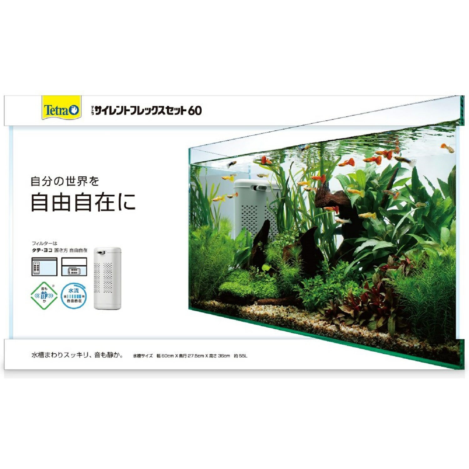 Tetra�ƥȥ饵�����ȥե�å������å�60 [trmt]