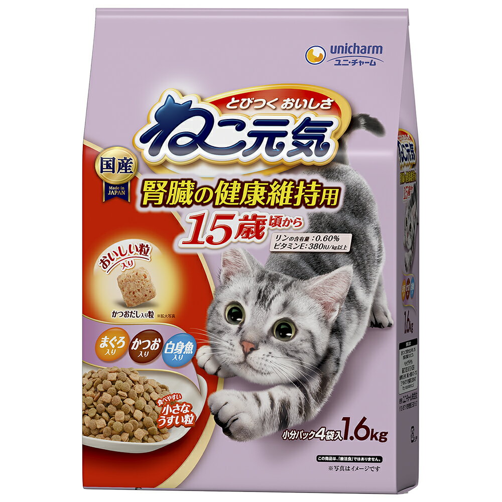 ��ˡ����㡼�� �ͤ������򹯰ݻ���15�к�����ޤ��������Ĥ�����ȵ�����1.6kg ���˥�ǭ ǭ�� ����åȥա��� ������ܿ� ��ޥ��ͥ����� ���ꥫ�� �ɥ饤...