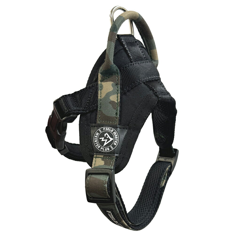 �ޥ��������ץ饹FIELDMASTER�إåɥ���HL�����ߡ�G [trmt]