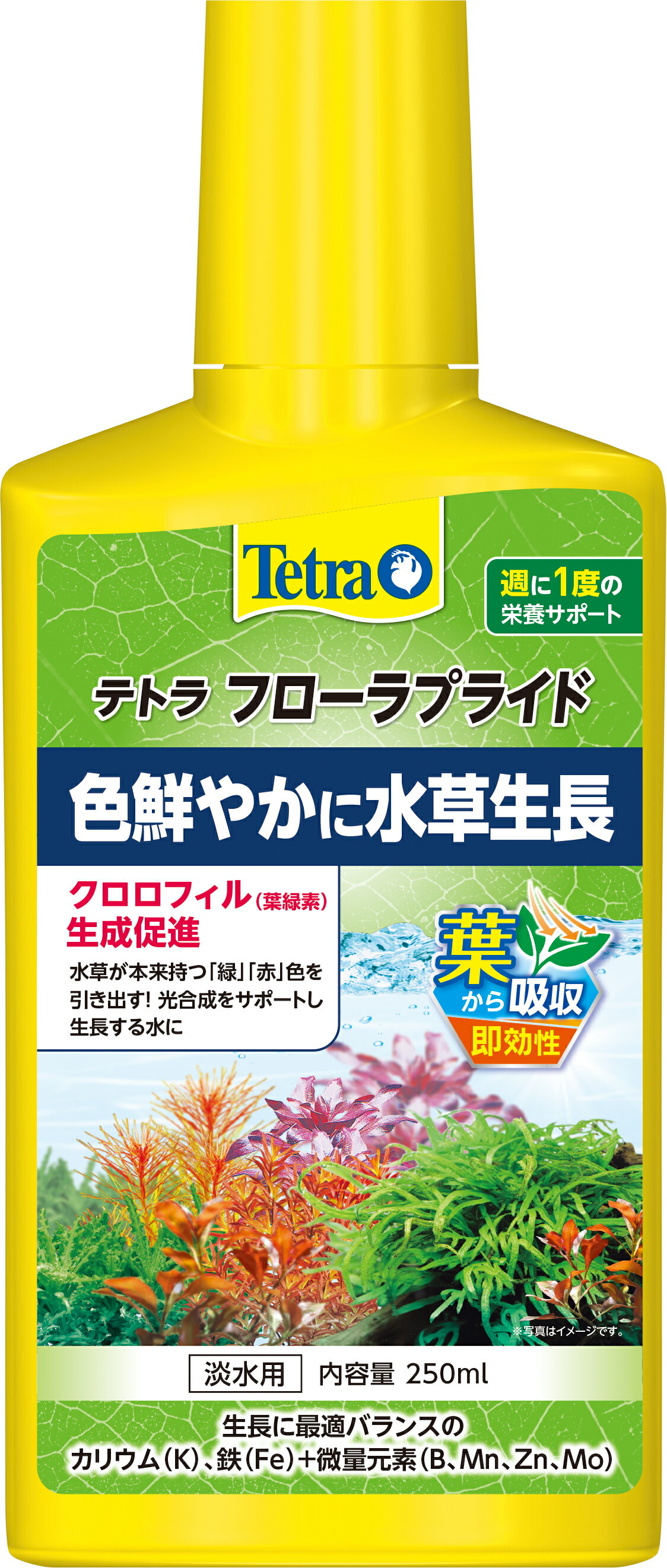 Tetraテトラフローラプライド250ml [trmt]