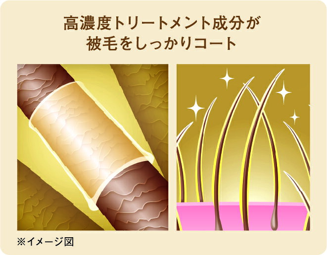 クイック＆リッチトリートメントインシャンプー愛犬用フォレストグリーン200ml [trmt]