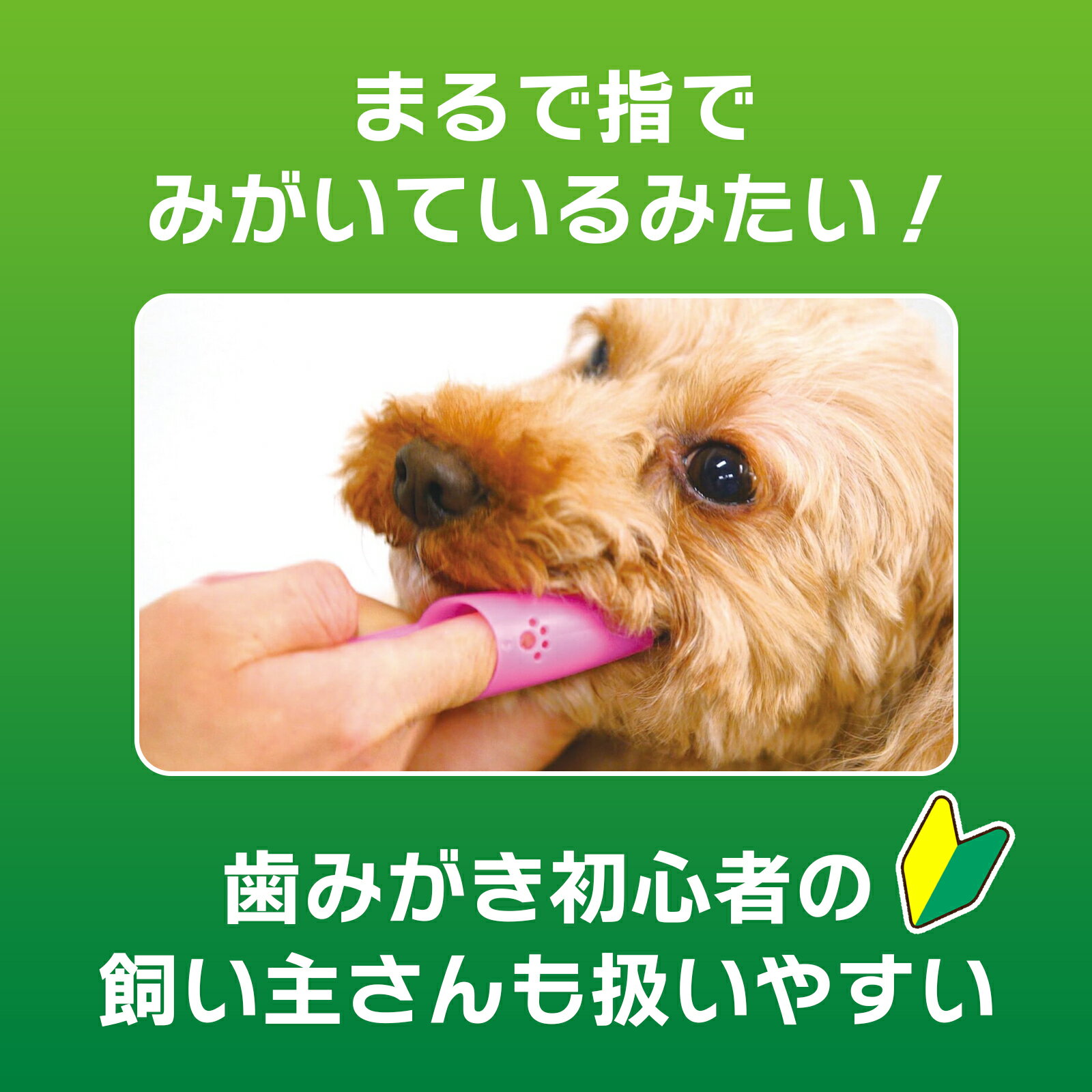 PETKISS指サック歯ブラシ1本 [trmt]