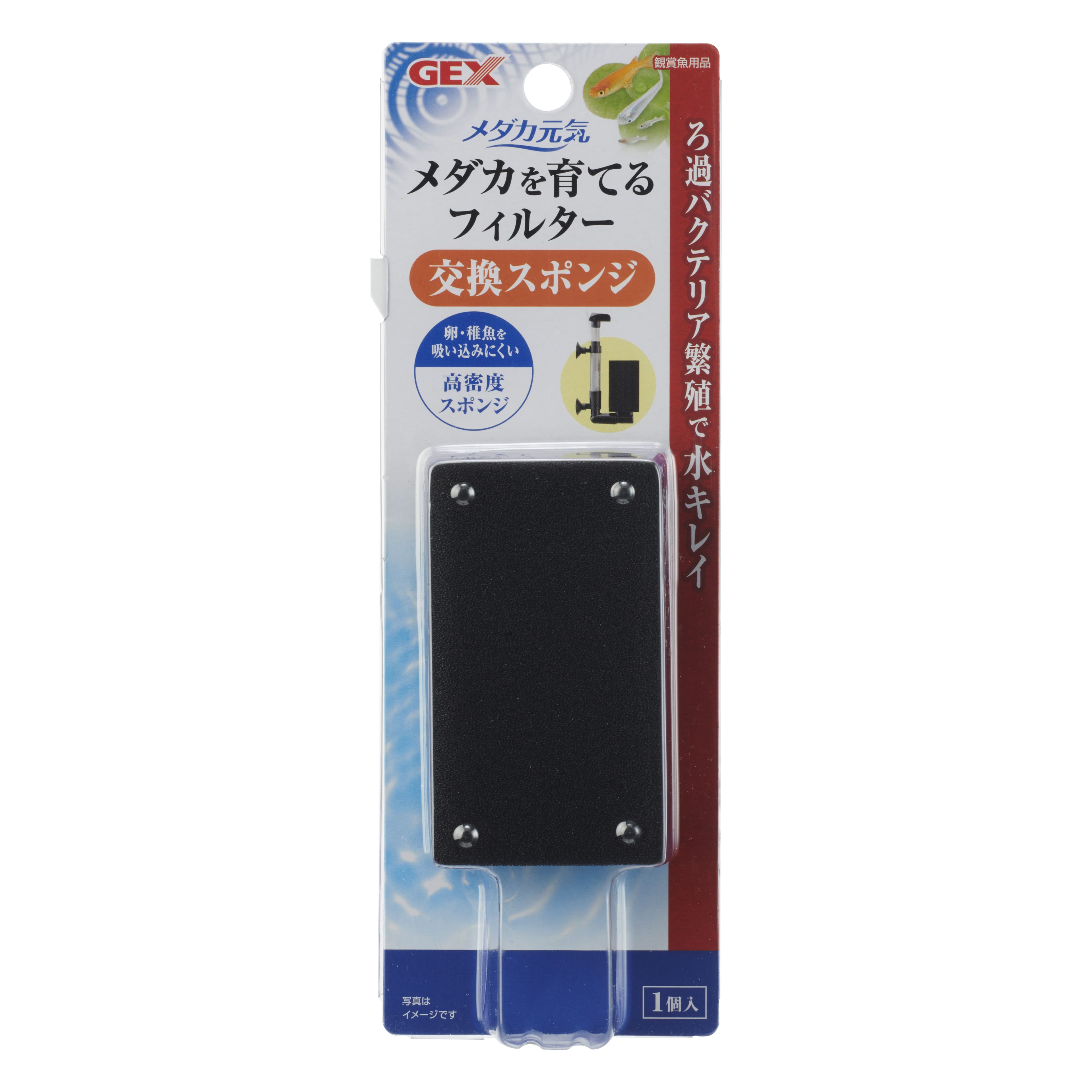 ジェックスメダカ元気メダカを育てるフィルター交換スポンジ [trmt]