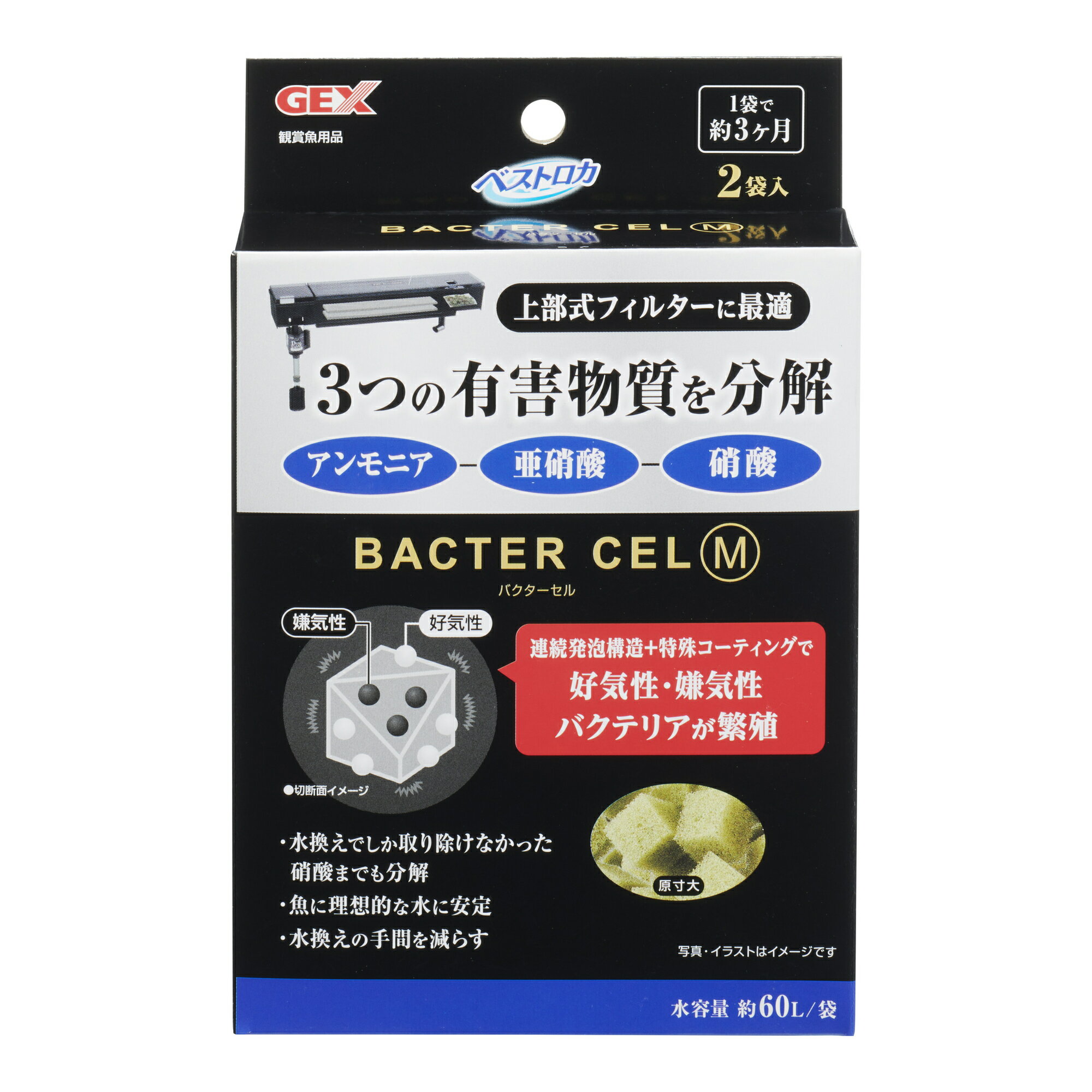 �����å����Х���������M2���� [trmt]