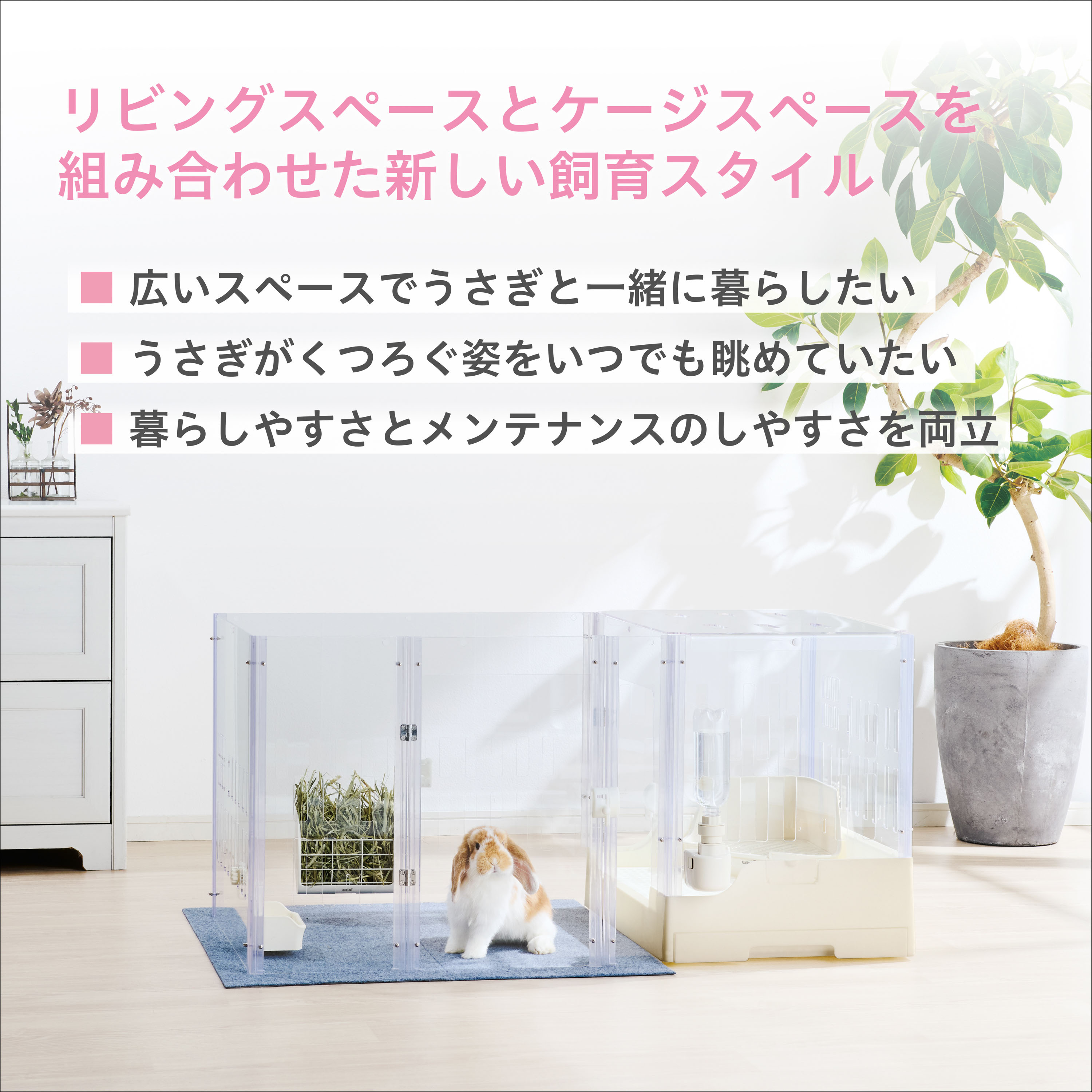 GEXラビングクリアメゾン120 [trmt]の紹介画像3