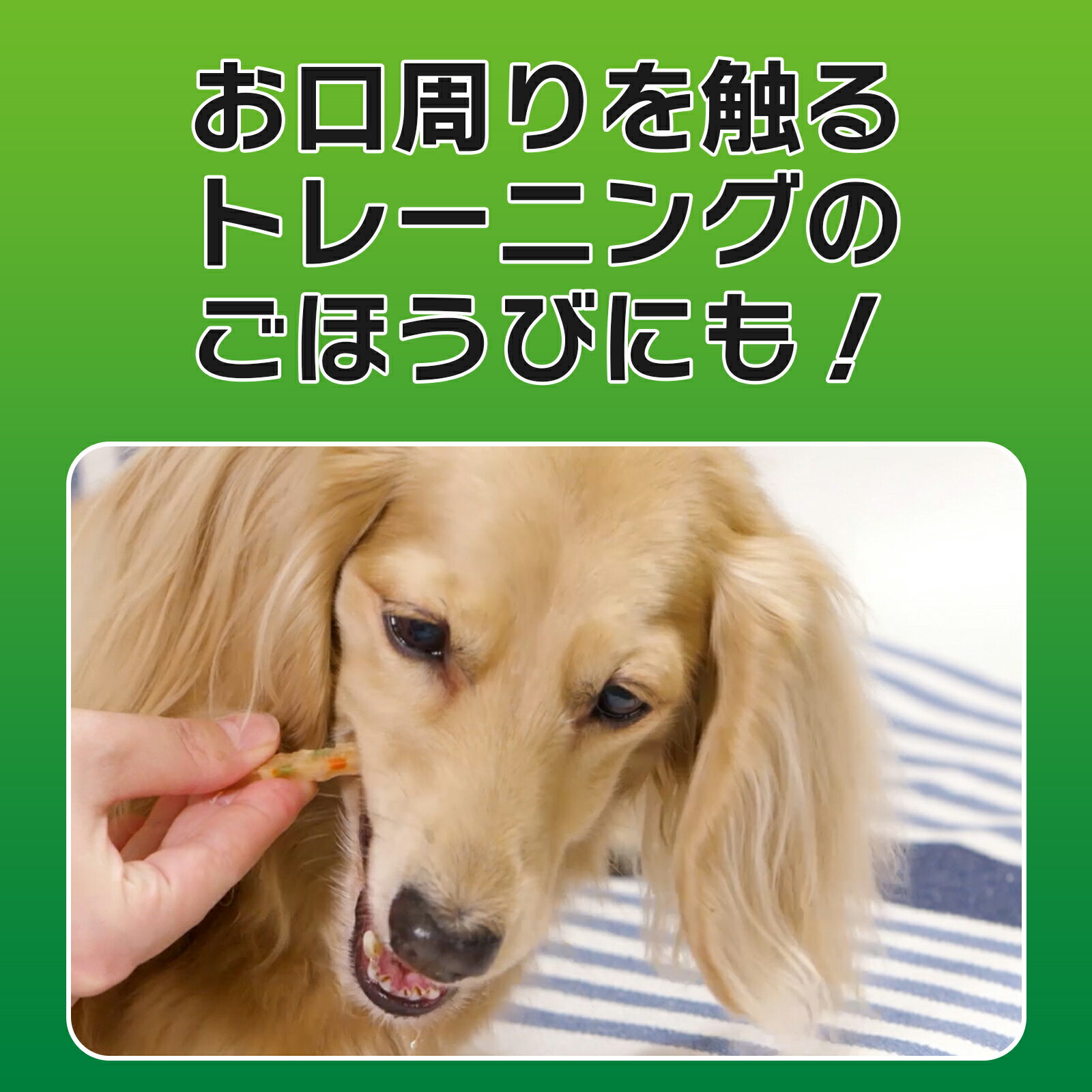 ライオンペット PETKISSワンちゃんの歯みがきおやつ無添加ササミスティックプレーン35g 犬用 歯磨きおやつ ささみ 牛皮 歯垢除去 歯の健康 国産 [trmt]