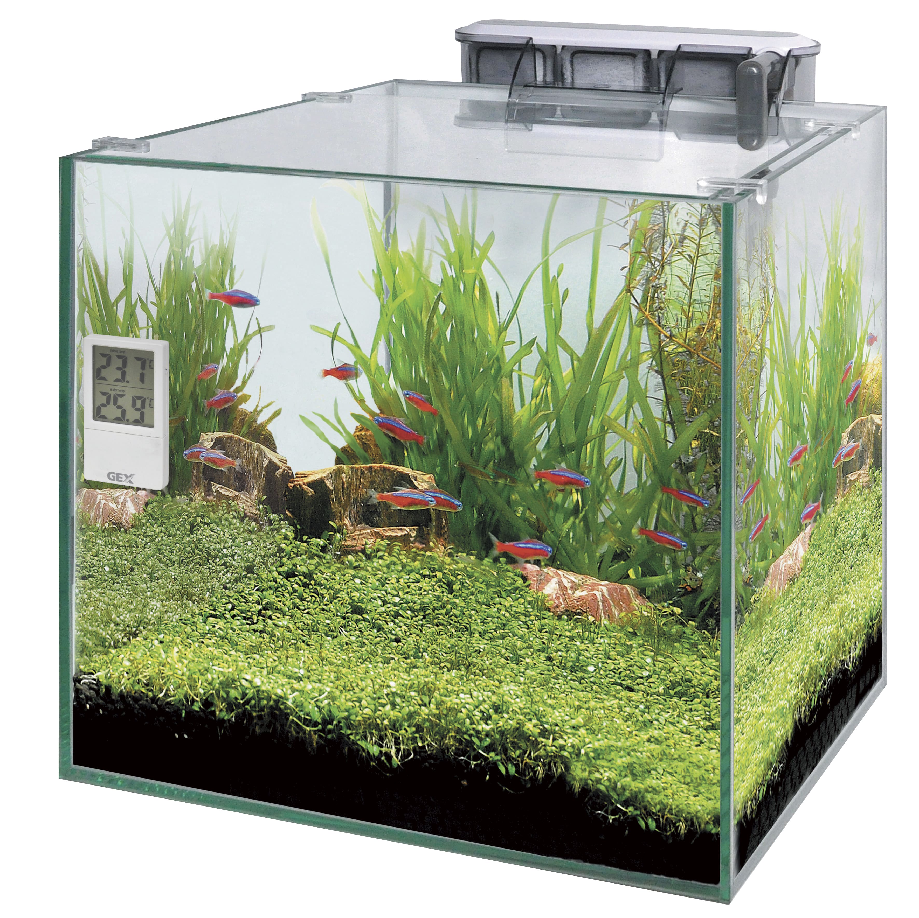 �����å��������ɥ쥹�ǥ�����岹�� [trmt]