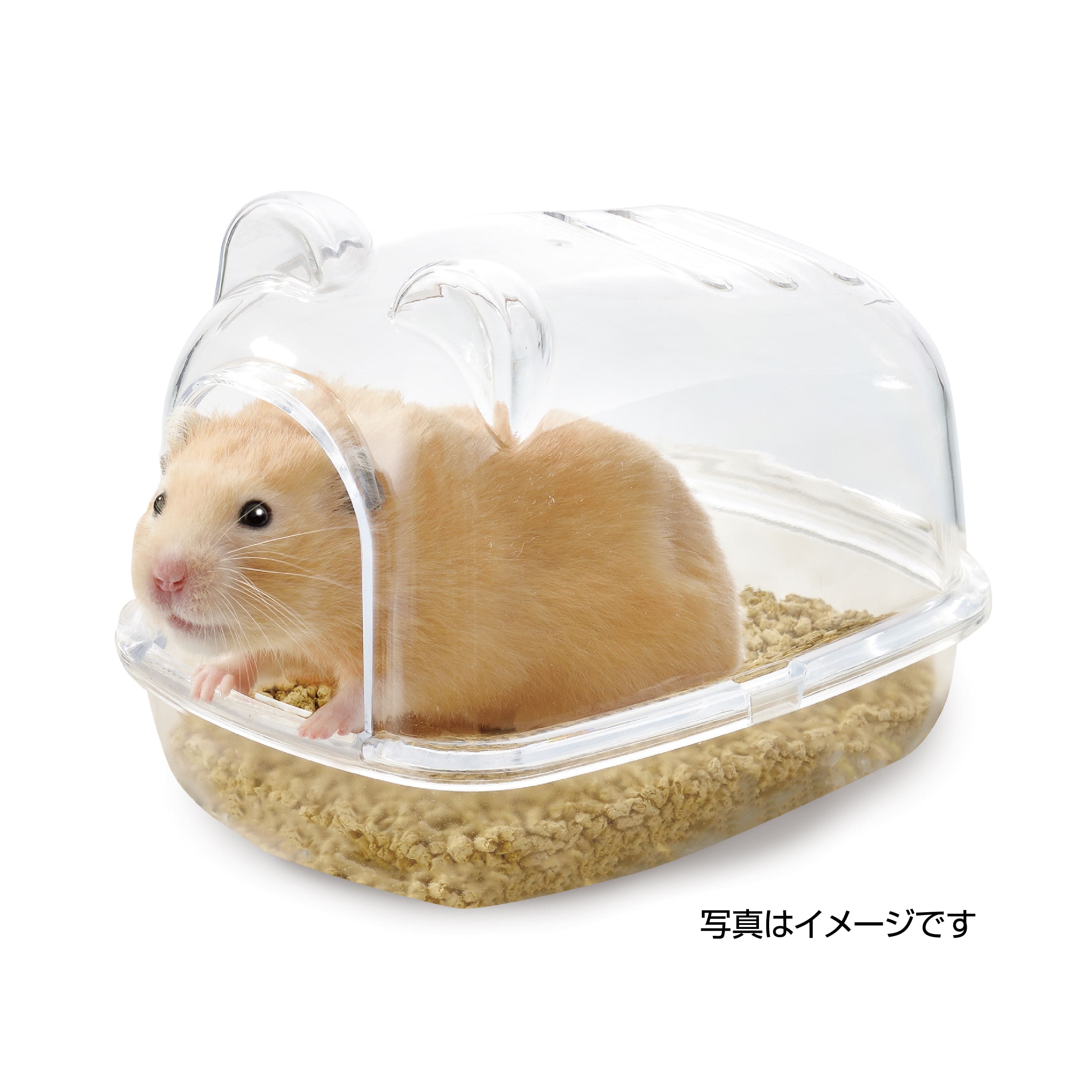 marqueeのジェックス広葉樹のトイレ砂900mL [trmt]｜アングル3