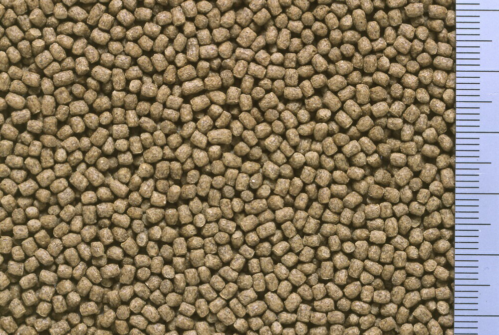 �Ҥ���Τ��Τ����ᤵ��40g [trmt]