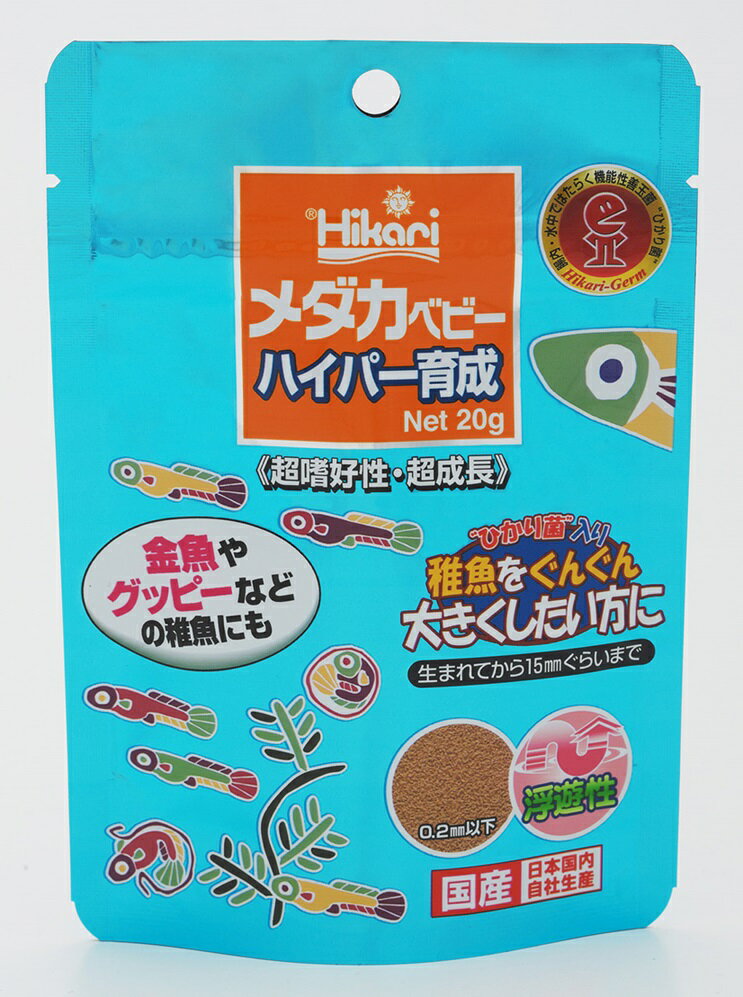 ひかりメダカベビーハイパー育成20g [trmt]