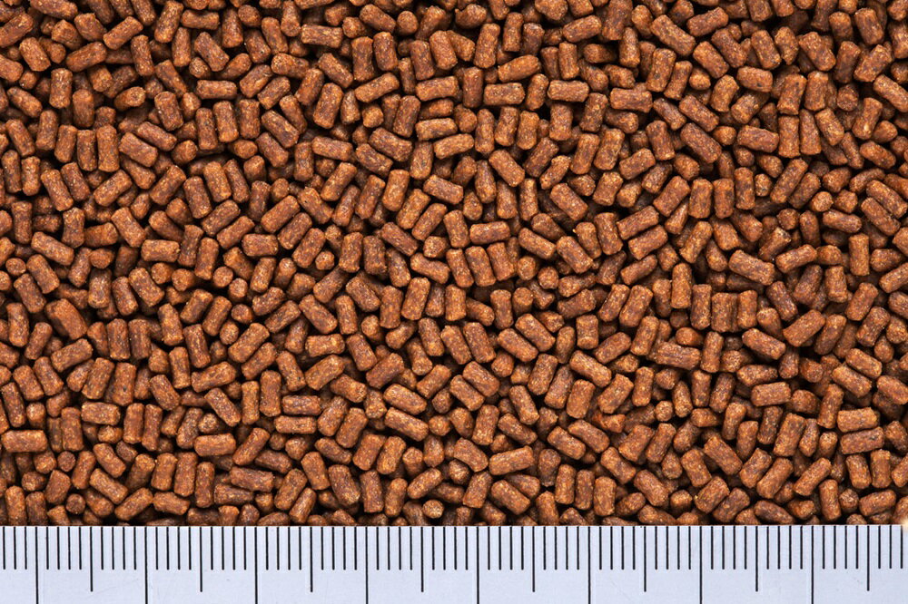 �Ҥ���Ҥ���̥ޥ���30g [trmt]