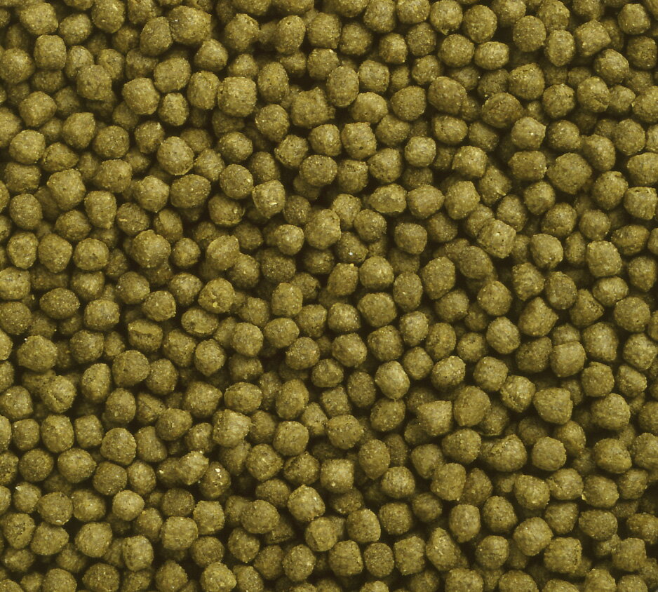 �Ҥ��ꥪ�����������100g [trmt]