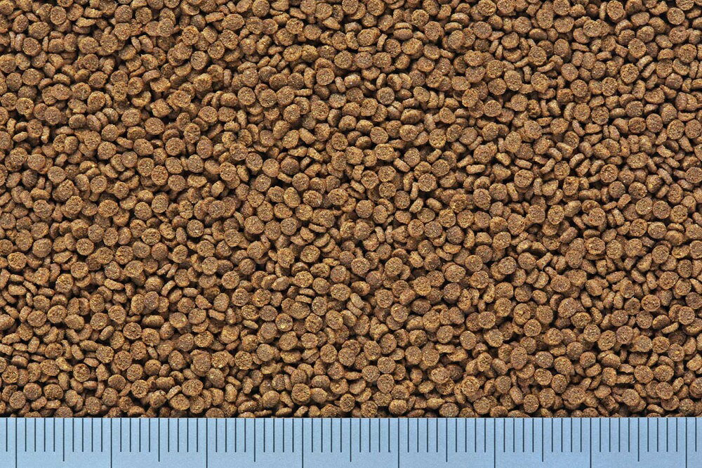 �Ҥ�������奦�٥ӡ��������SS80g [trmt]