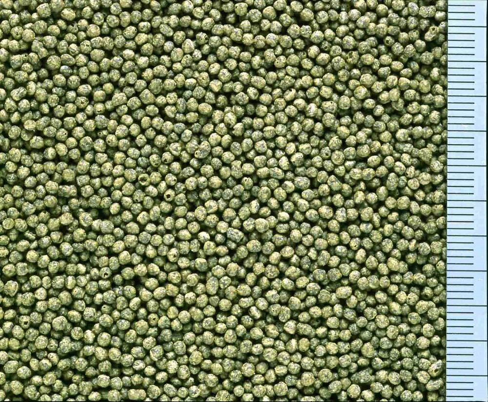 �Ҥ��ꥢ���ɥ�210g [trmt]