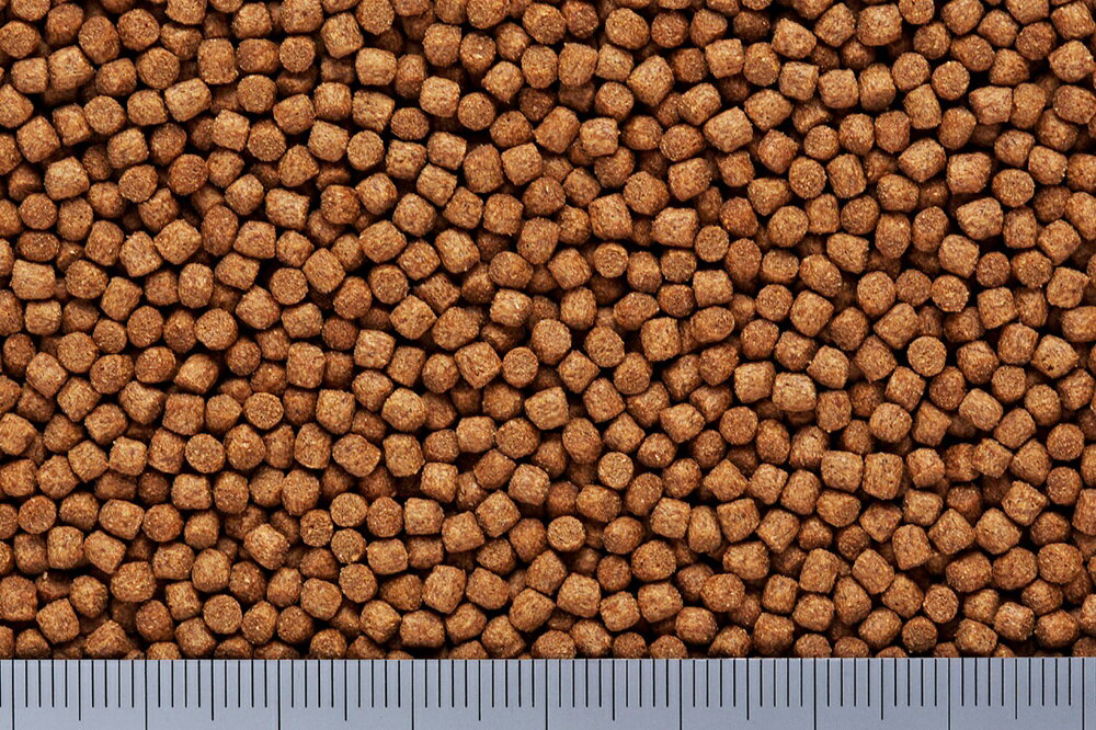 �Ҥ��ꥭ�󥮥�Υ�����γ150g [trmt]