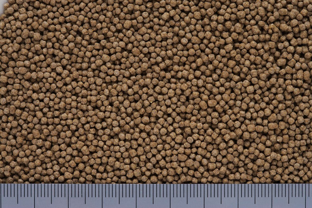 �Ҥ���ץ��ꥢ200g [trmt]