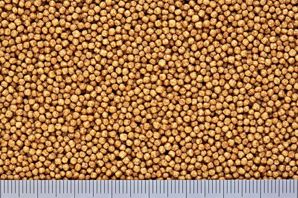 �Ҥ��꤭�󤮤�Τ���5�Ĥ��ϴ��ܿ����þ�γ��200g [trmt]