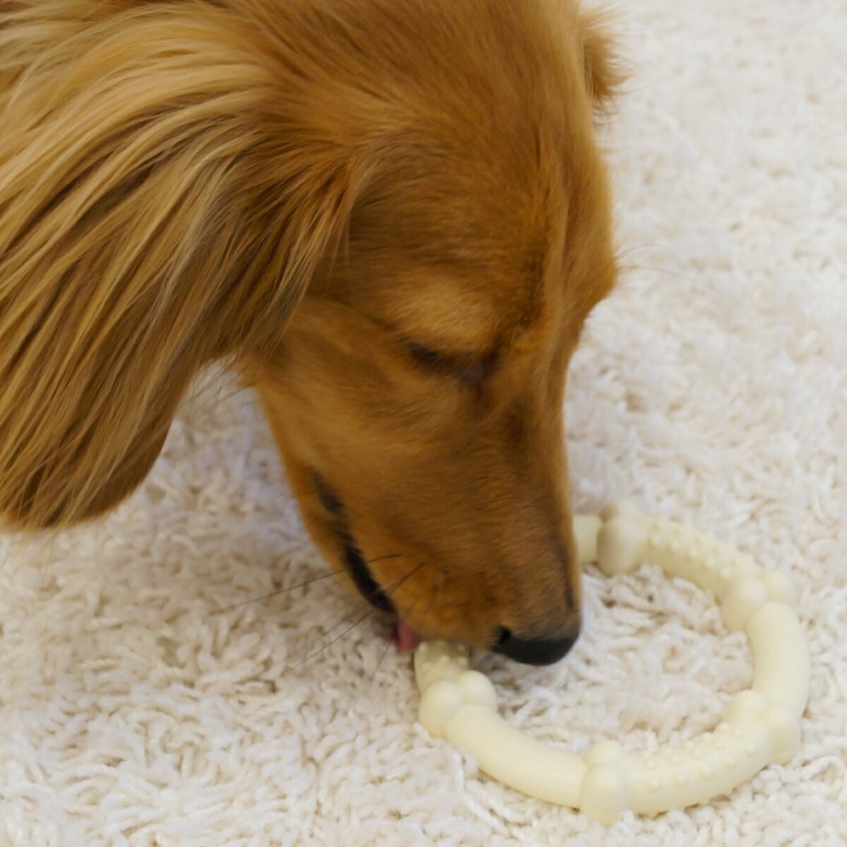 �ɥ����ޥ󥬥å��������S [trmt]