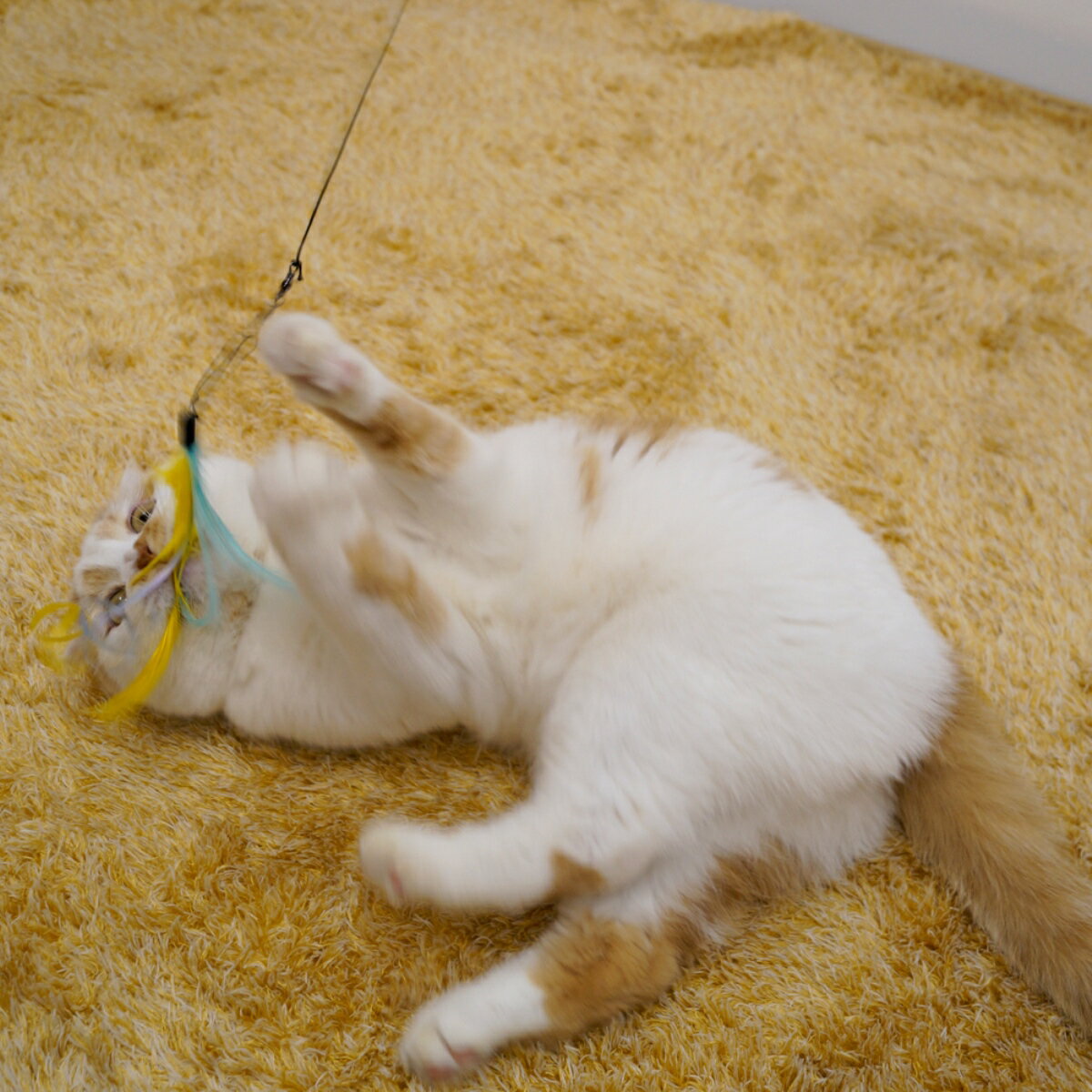 キャティーマンじゃれ猫猫のお好みじゃらし [trmt]