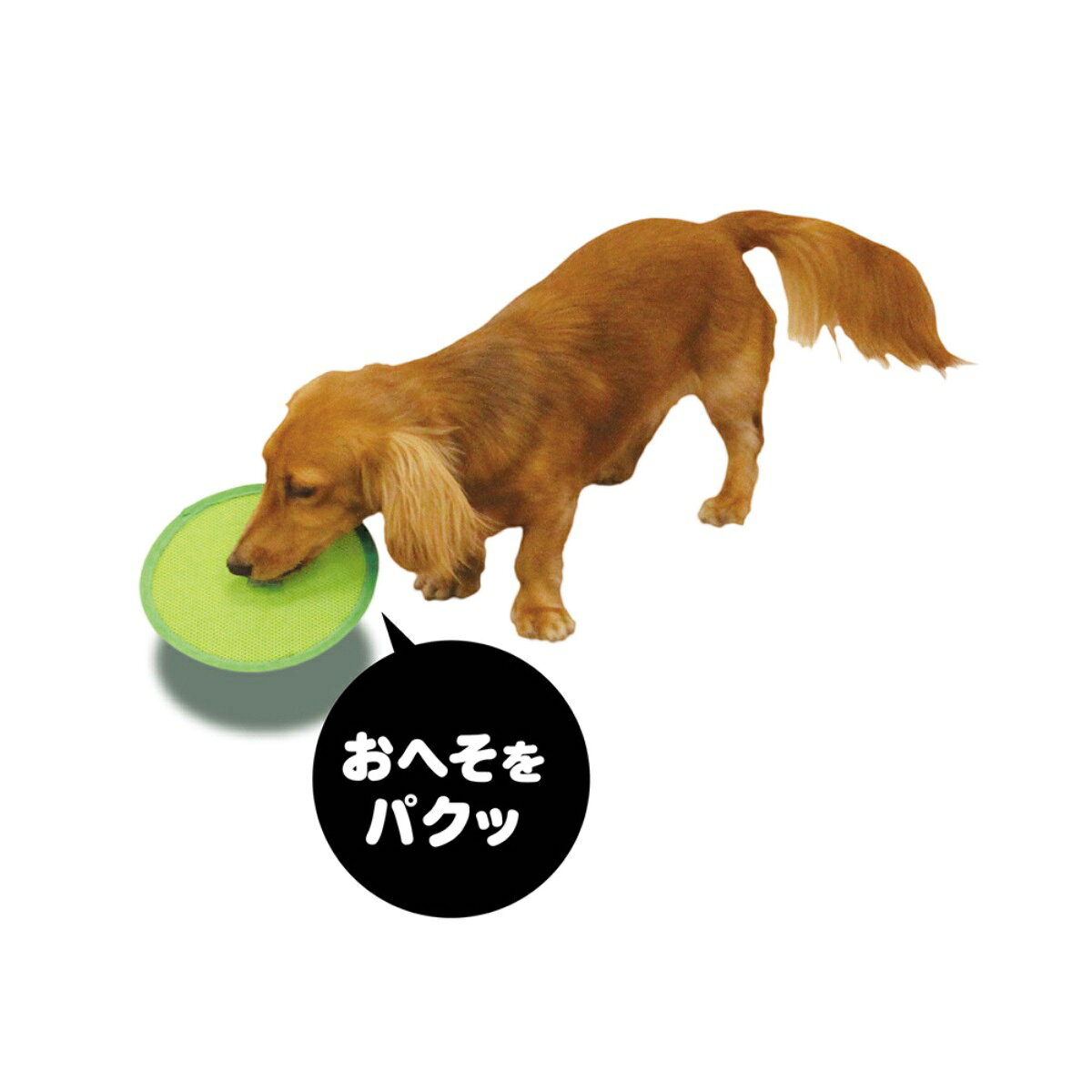 marqueeのドギーマンフワッピーM 犬用玩具 室内用 フリスビー 軽い やわらかい 運動不足 スポーツ遊具 [trmt]｜アングル3