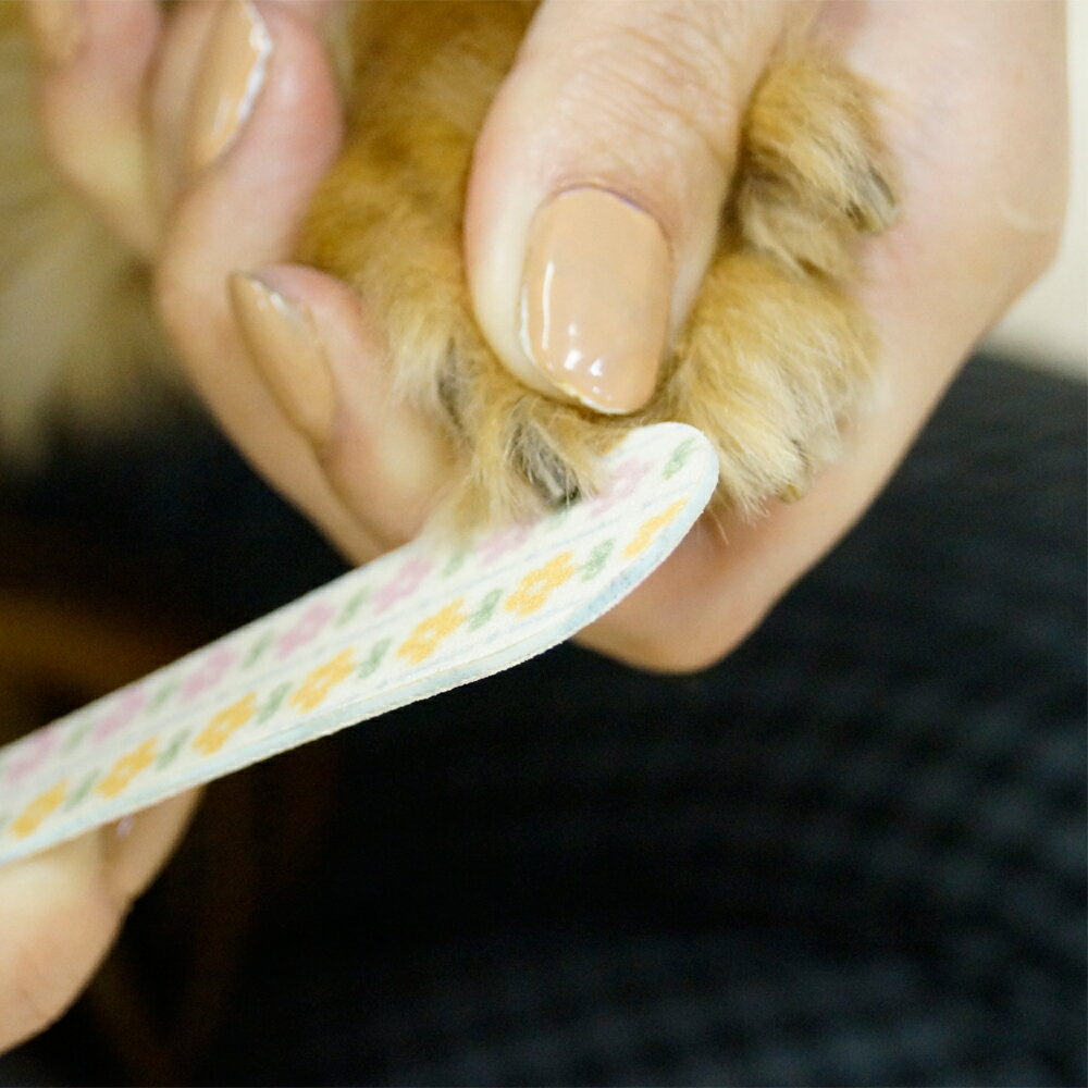 ドギーマンやさしい爪ヤスリ [trmt]