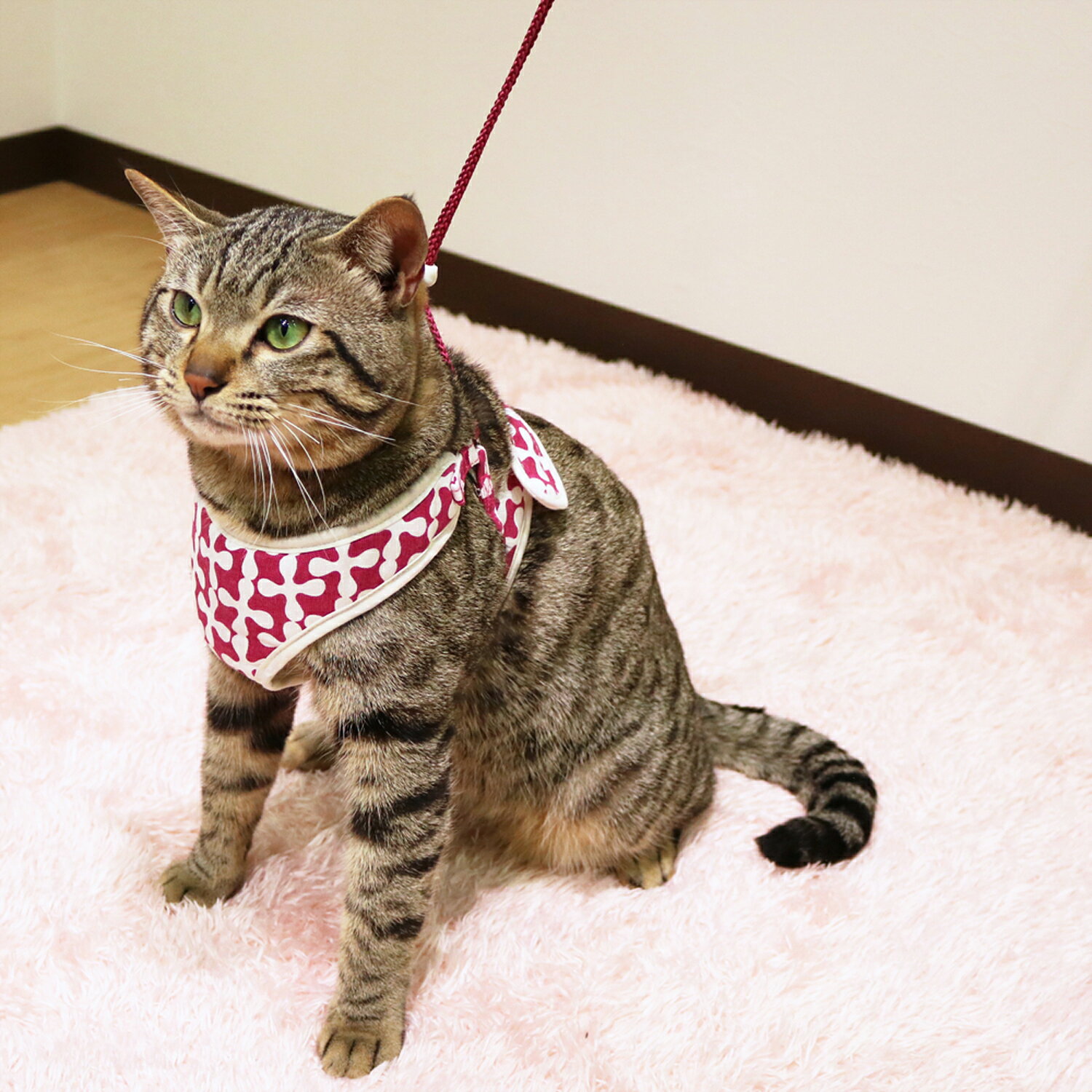 キャティーマンミーチェねこどうわジオモダンSパープル 猫用ハーネス 散歩紐 猫用...