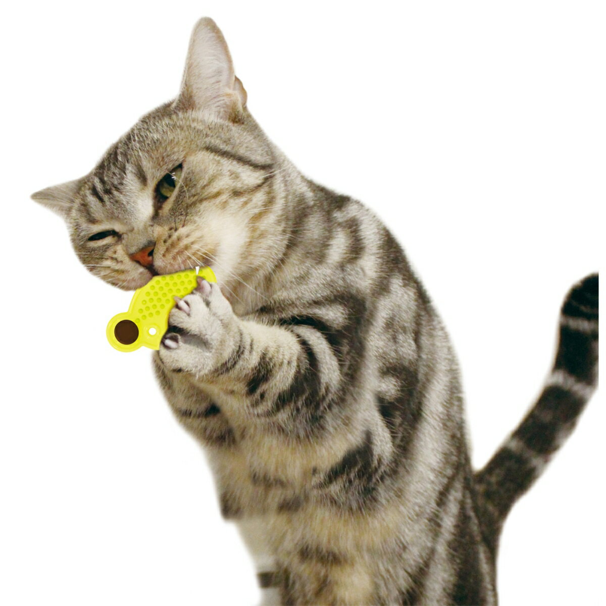 キャティーマンじゃれ猫マタタビぐねぐねデンタルねずにゃん [trmt]