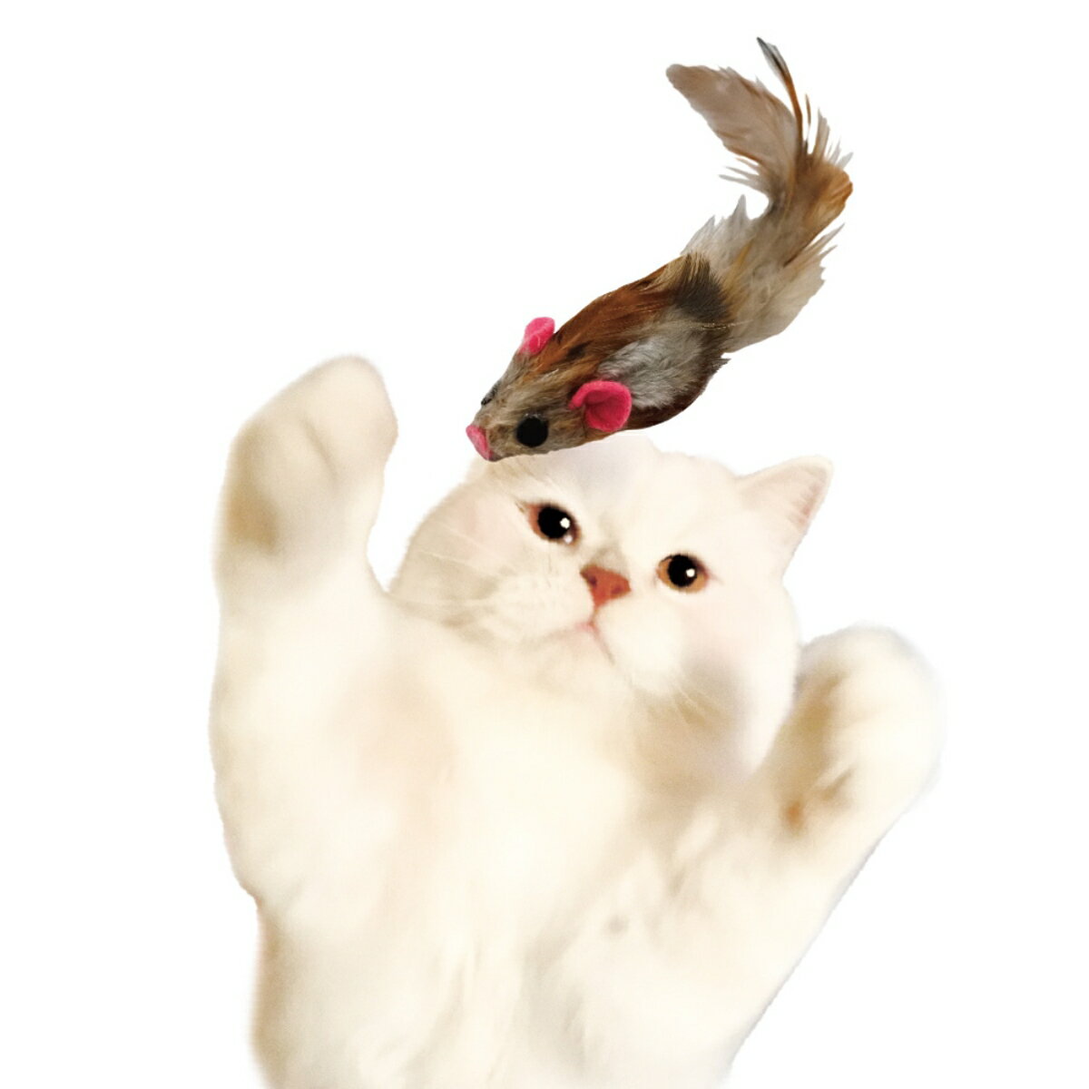 キャティーマンじゃれ羽チューバードファミリー [trmt]