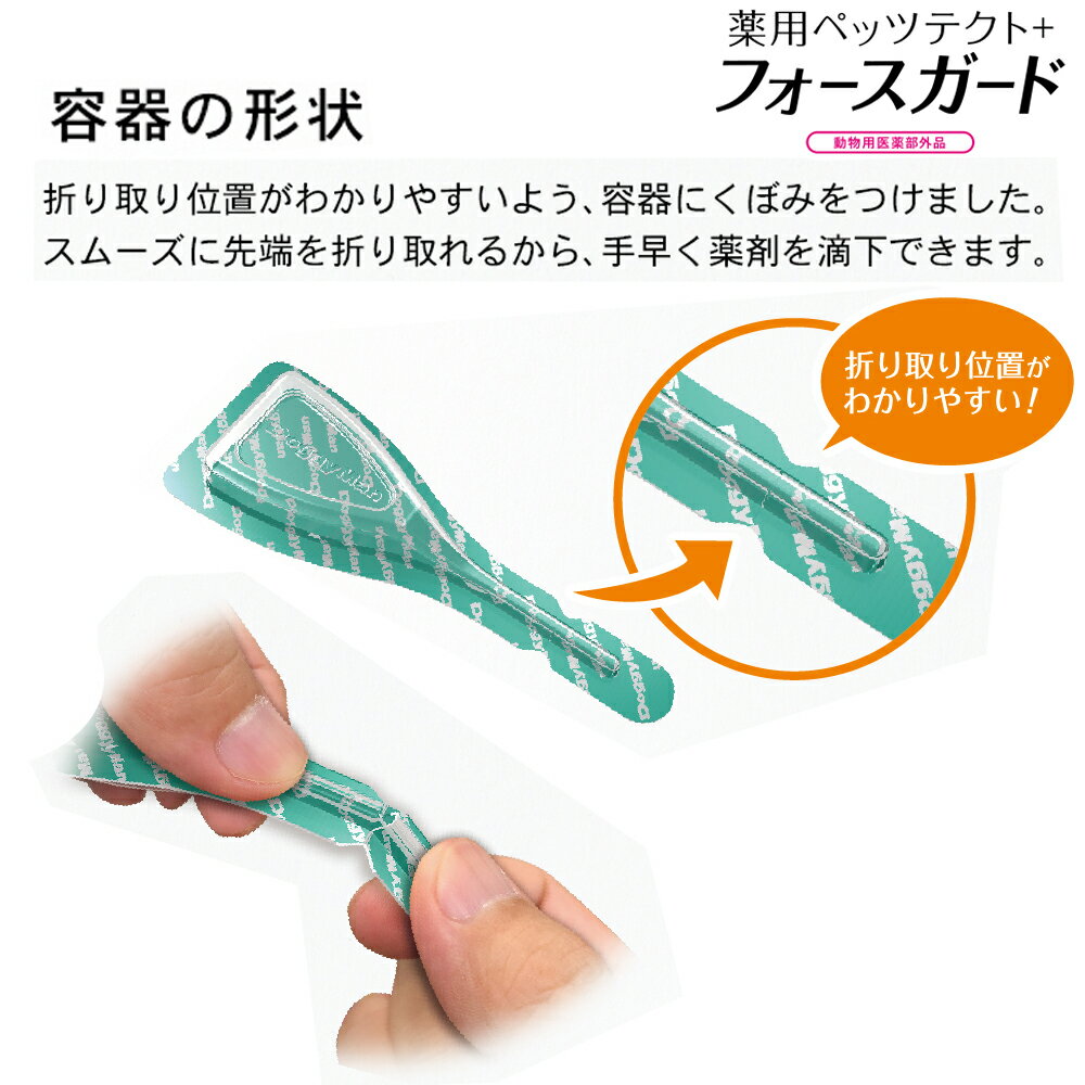 ����ƥ����ޥ�����Ź�����ѥڥåĥƥ���+�ե�����������ǭ��1���� [trmt]