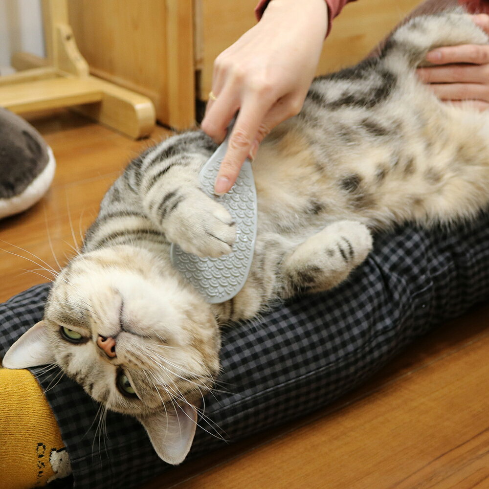 キャティーマンなで猫(にゃん)しゃもじ 猫用 マッサージブラシ グルーミング リラ...
