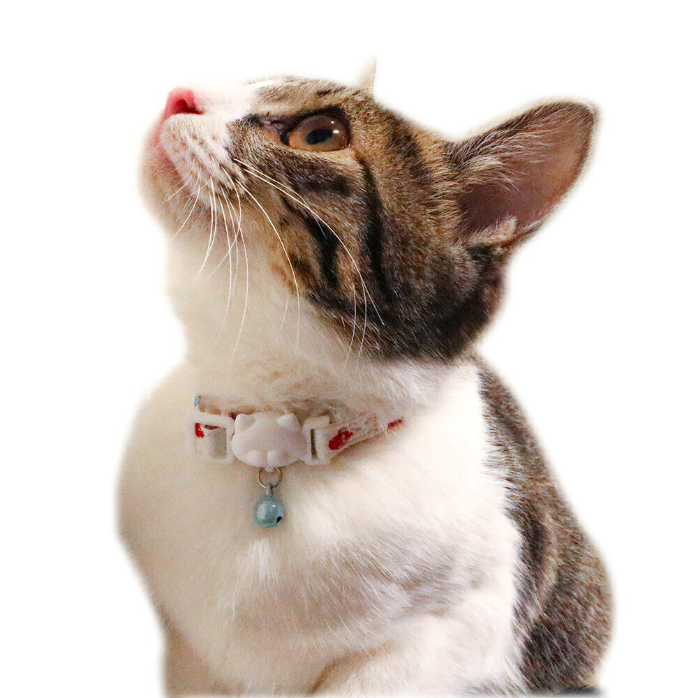 キャティーマンねこくびわル・コリエポップきのこ通り猫用首輪 5kg以下 鈴付き お...