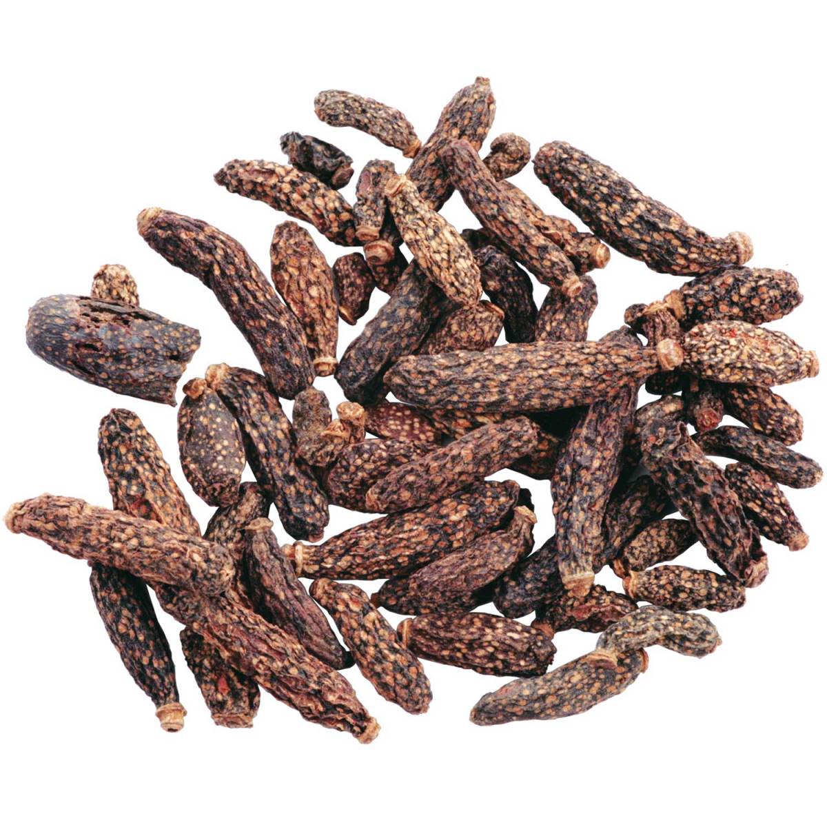 ����ƥ����ޥ�ǭ�ˤޤ�����̵ź�ò̼� [trmt]