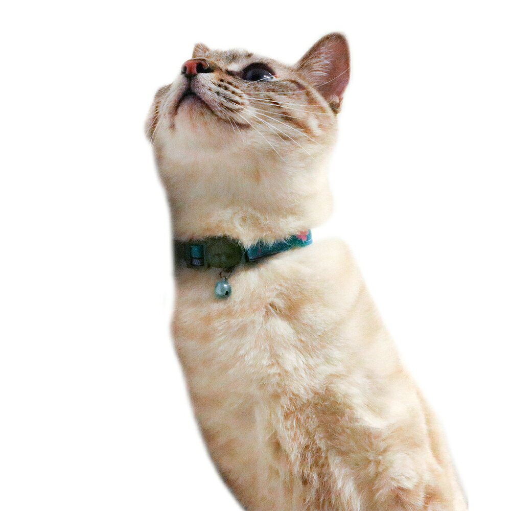 キャティーマンねこくびわル・コリエジャポネ百花繚乱 猫用首輪 5kg以下 鈴付き お...