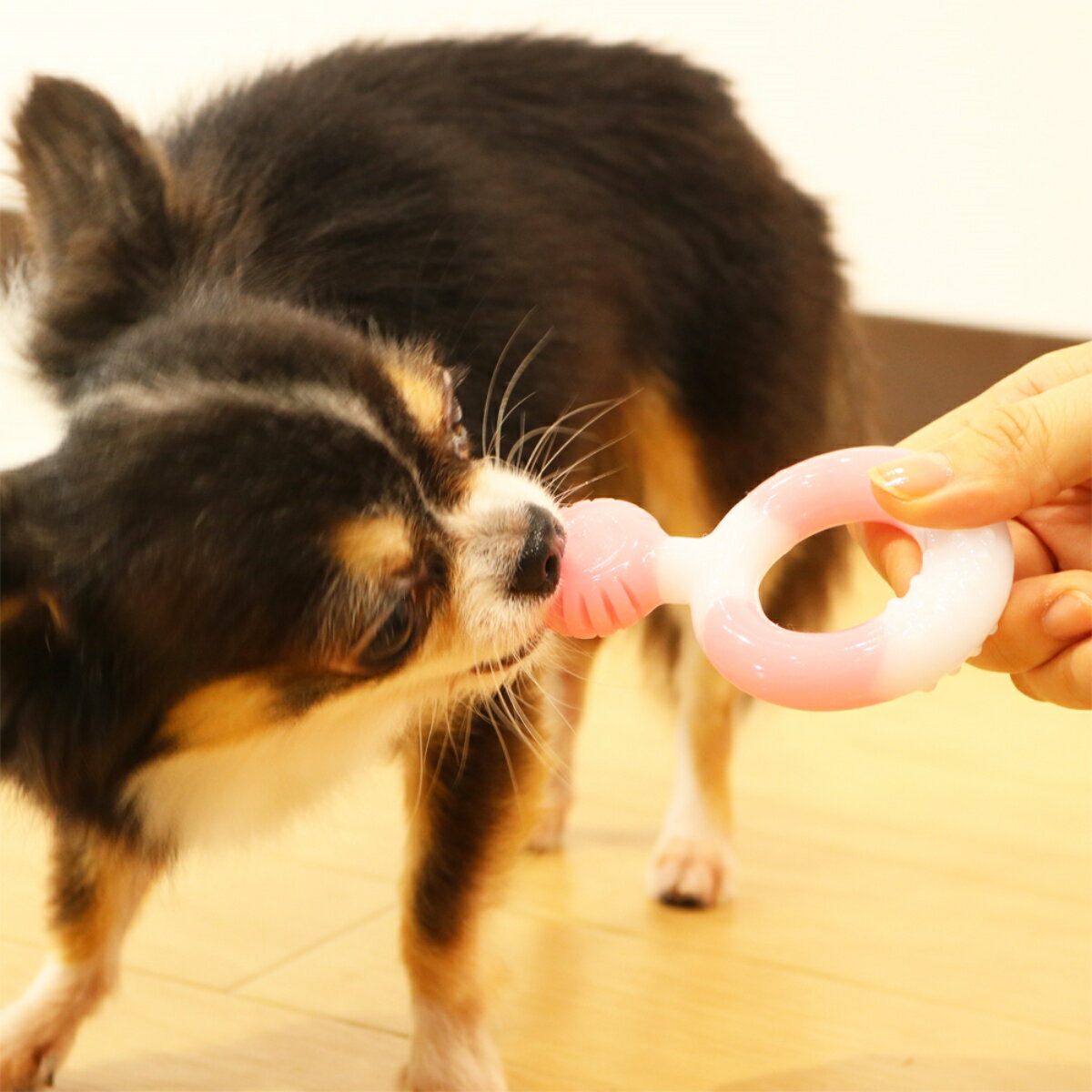 �ɥ����ޥ���餫�ǥ󥿥ȡ������ [trmt]