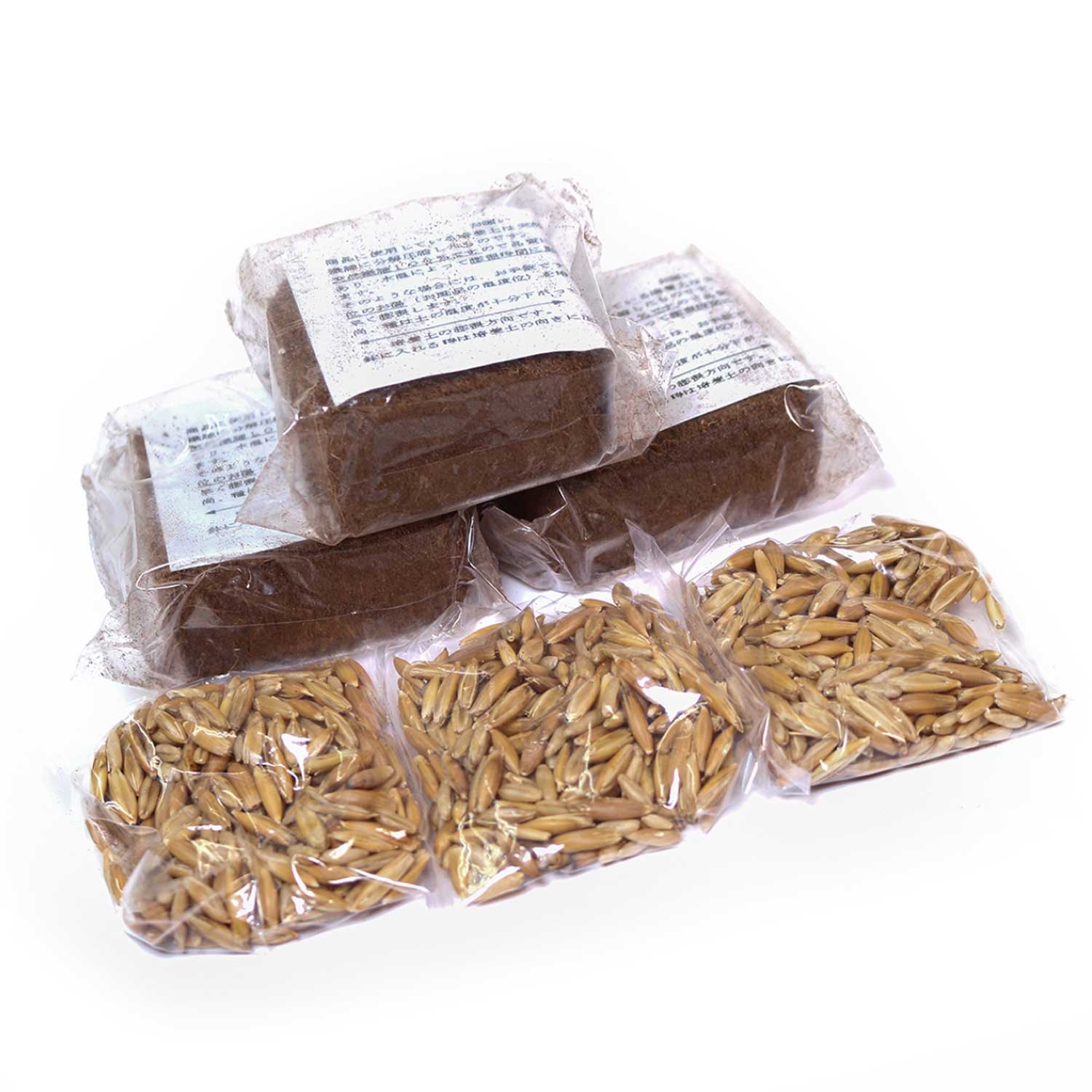 ����ƥ����ޥ󤪤����ǰ�Ƥ�ǭ������ڼ���� [trmt]