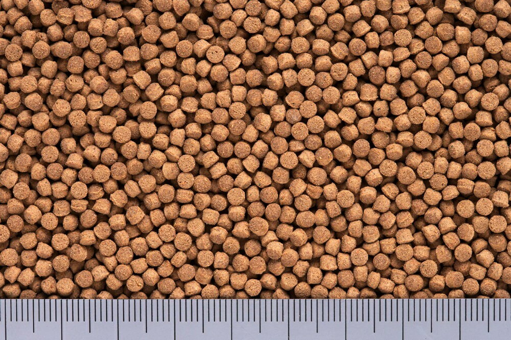 ひかりカメプロス沈下性小ペレット120g [t...の紹介画像3