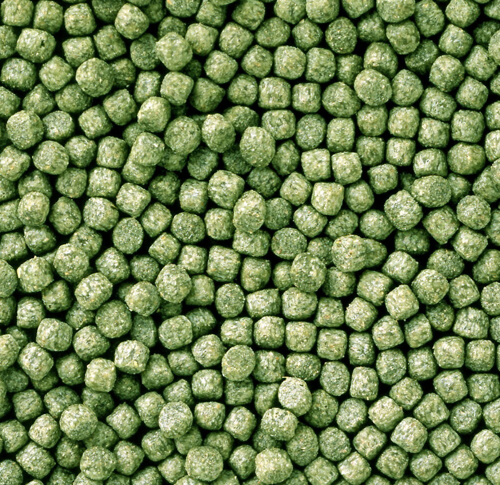 �Ҥ���Ҥ��꾮γ400g [trmt]