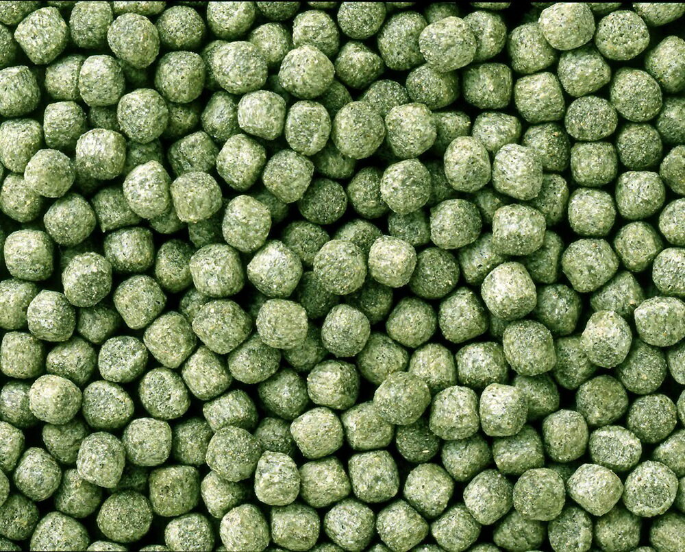 �Ҥ���Ҥ�����γ400g [trmt]