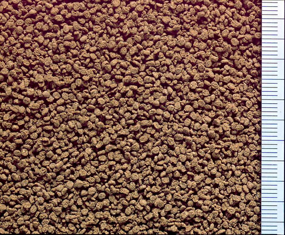 ひかりクレストひかりクレストディスカス65g [trmt]