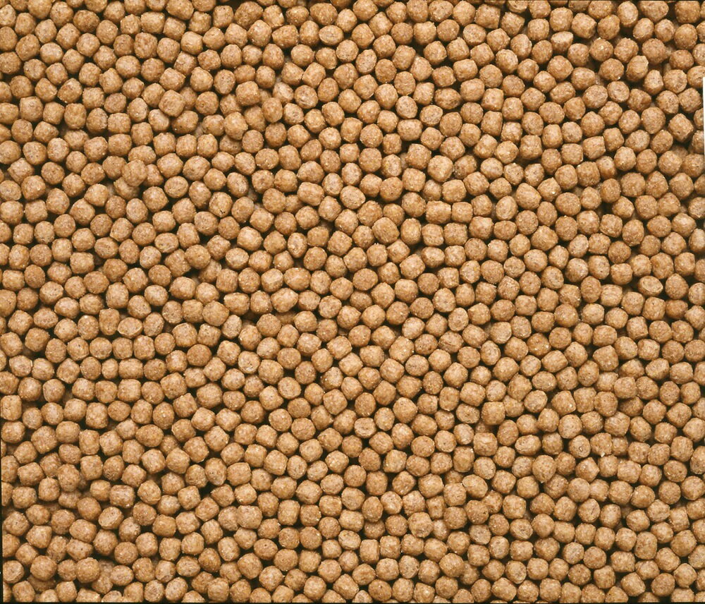 ひかりひかり胚芽小粒1.2kg [trmt]