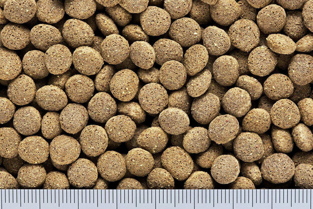 キョーリン ひかりフトアゴドライ500g 爬虫類飼料 トカゲ ペレット 総合栄養食 カ...