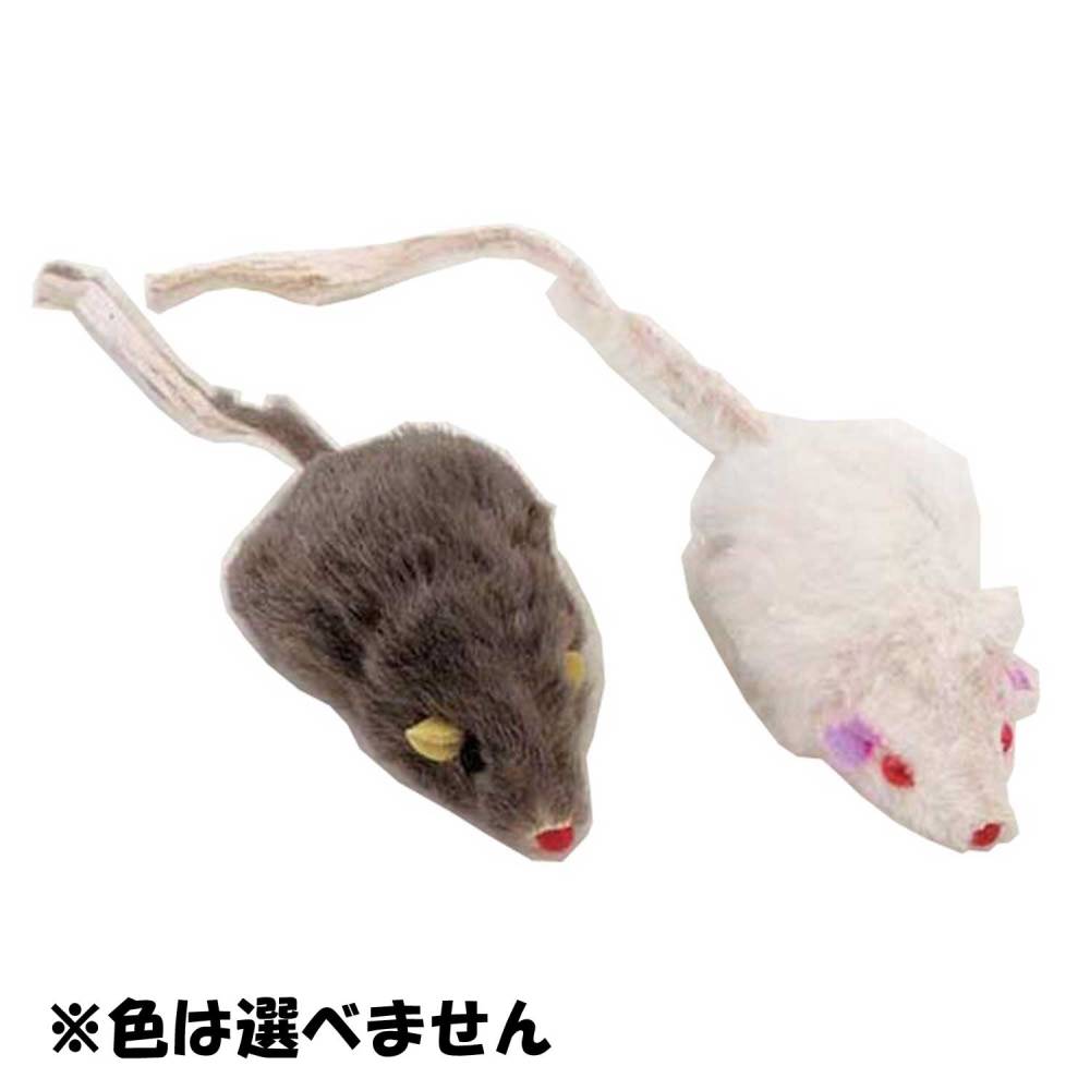 ����ƥ����ޥ󤸤��ǭ�ƥͥ��� ǭ�Ѥ������ �ڥåȥȥ� ǭ����餷 ���ߥ�˥��������ͷ�� [trmt]