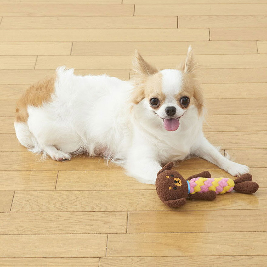 デンタルアニマルプードル [trmt]