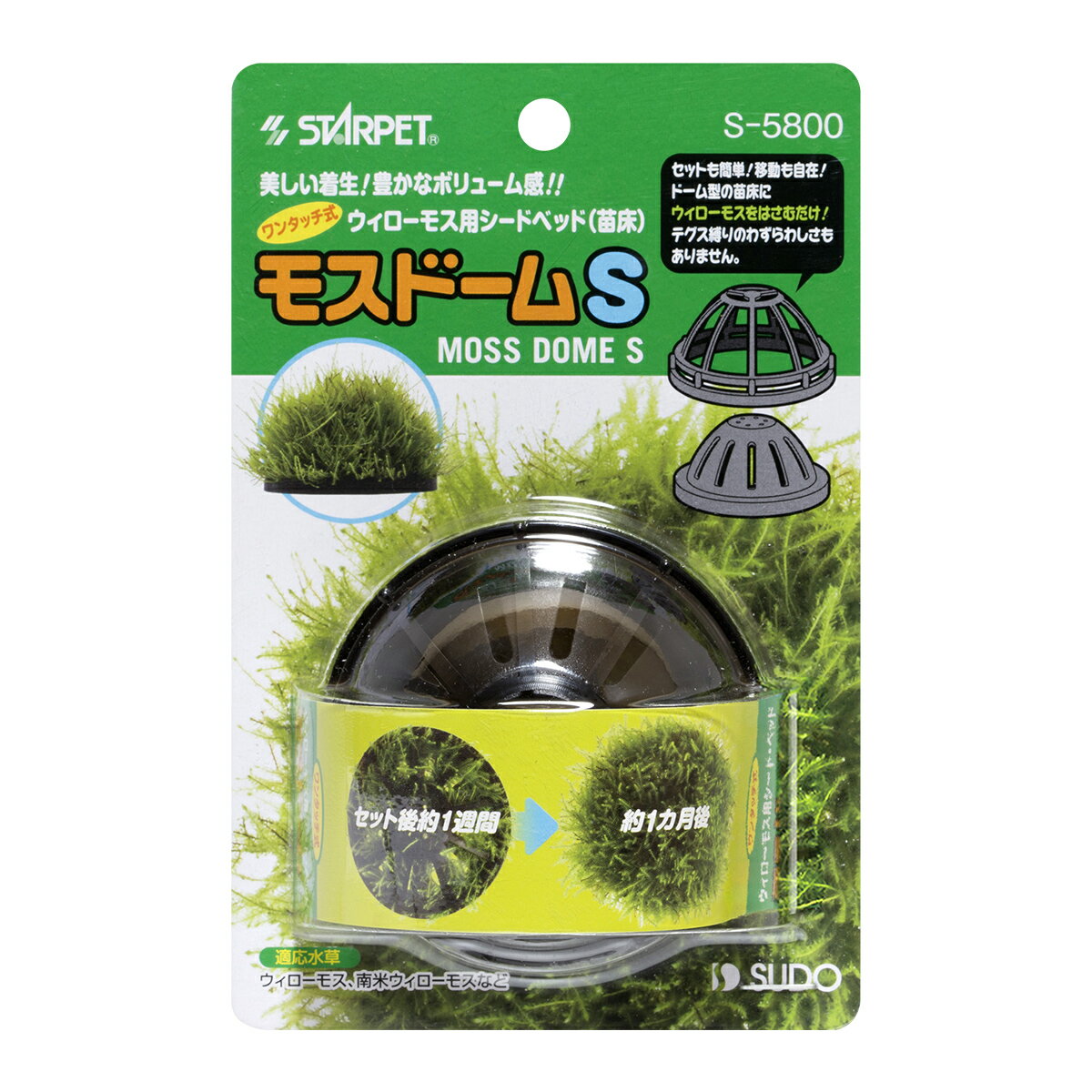 スターペットモスドームS [trmt]