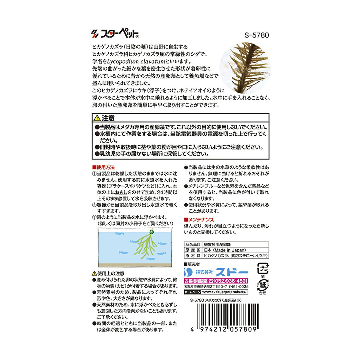スターペットメダカの浮く産卵藻小 [trmt] 2